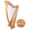 34 Strings Round Back Harp